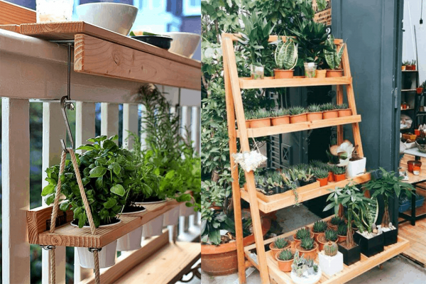 Thiết kế không gian xanh cho ngôi nhà của bạn