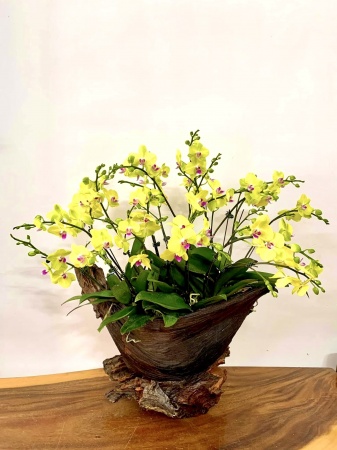 Trang điểm không gian